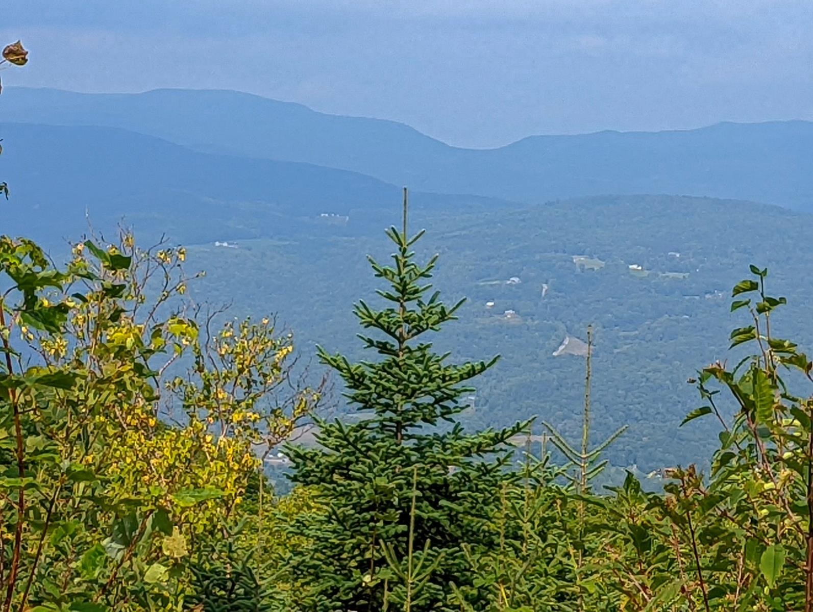 1300 Bear Farm Road Northfield, VT 05663 - Photo 9 of 10