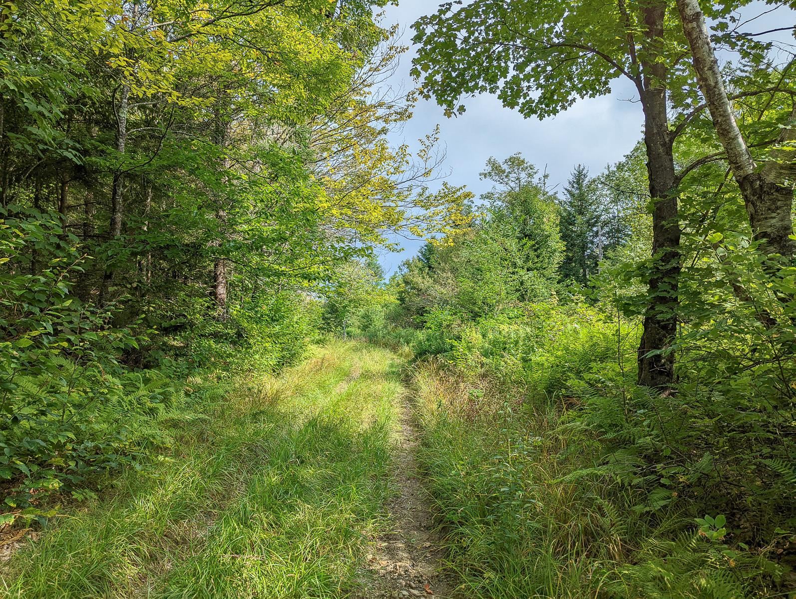 1300 Bear Farm Road Northfield, VT 05663 - Photo 10 of 10