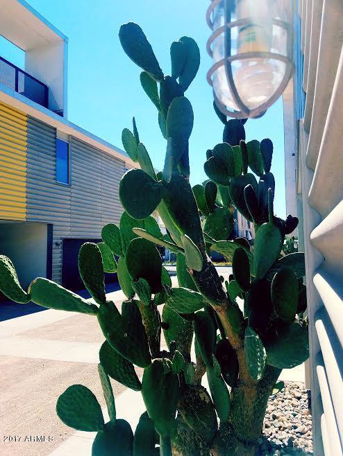 777 West Roosevelt Street, Unit 8 Phoenix, AZ 85007 - Photo 10 of 26 main entrance