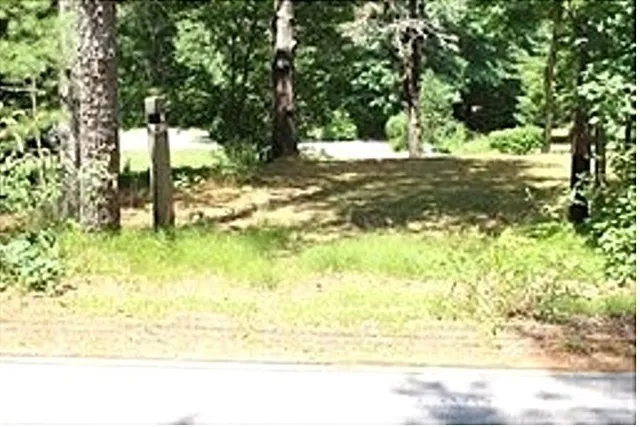a view of a yard with large trees