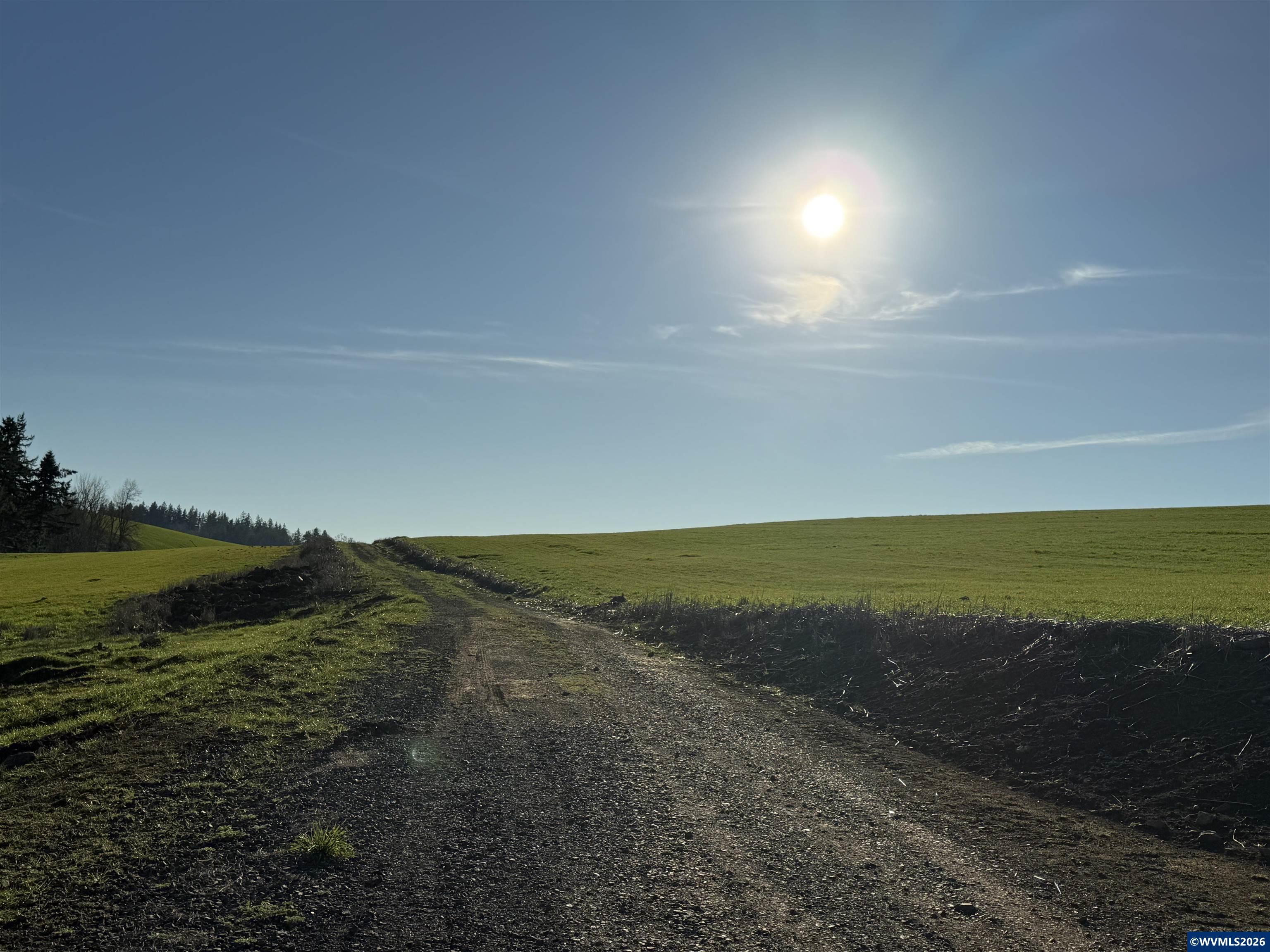 9900 South Wildcat Road Molalla, OR 97038 - Photo 12 of 20