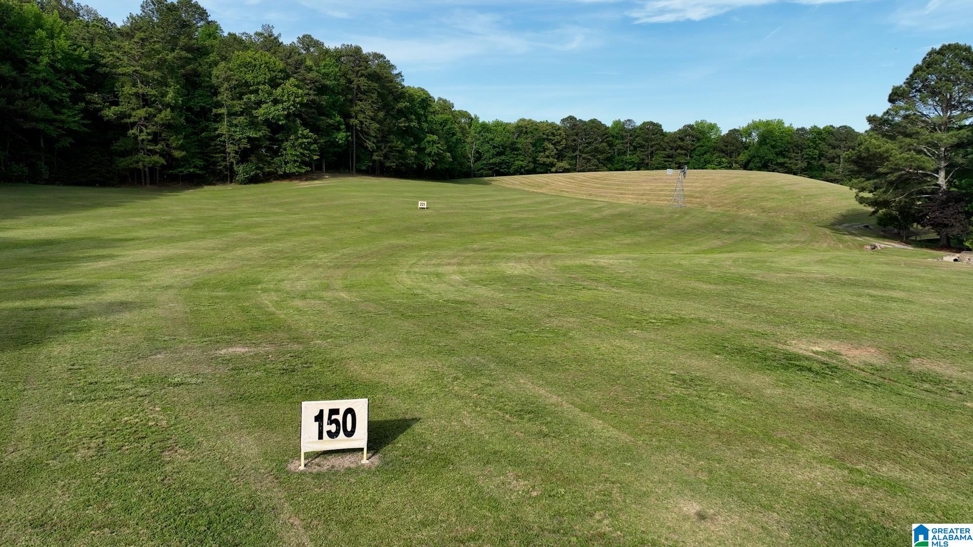5145 Pine Mountain Road Remlap, AL 35133 - Photo 62 of 100