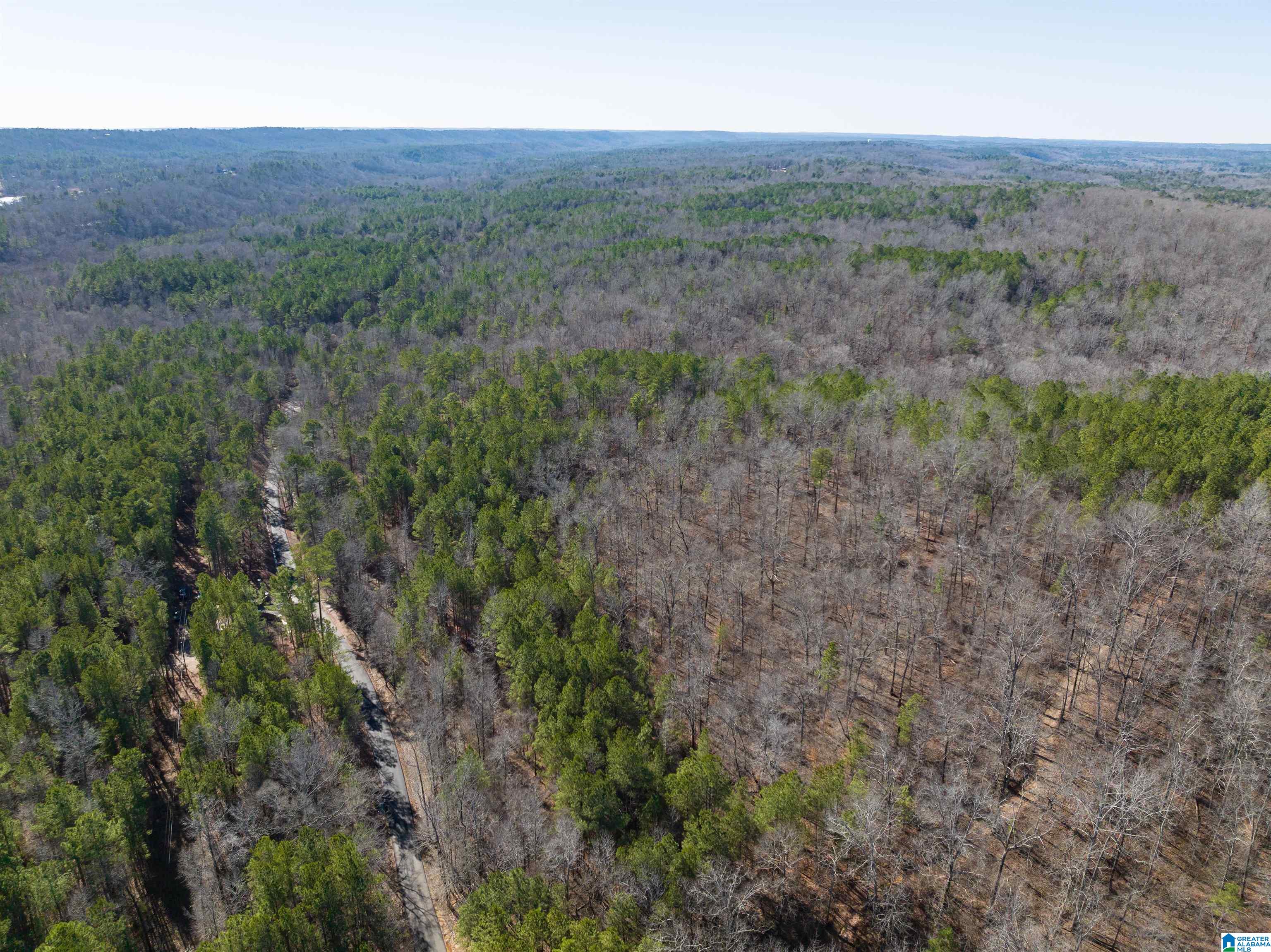 3659 McClendon Chapel Road, Unit 2 Bessemer, AL 35022 - Photo 23 of 44