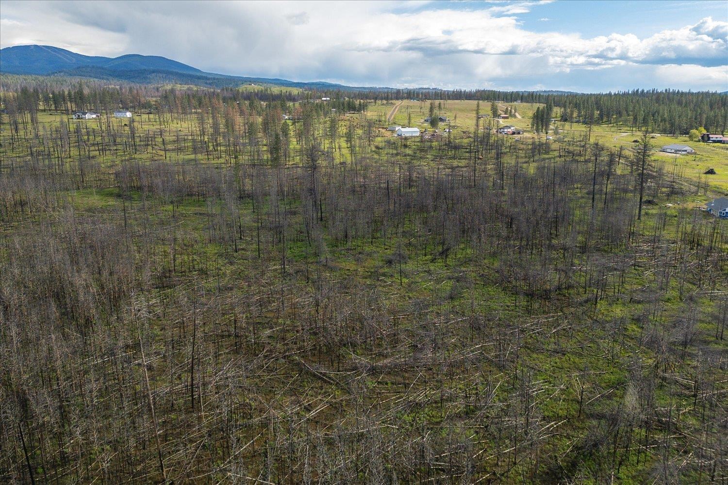 13801 East Bridges Road Elk, WA 99009 - Photo 4 of 5