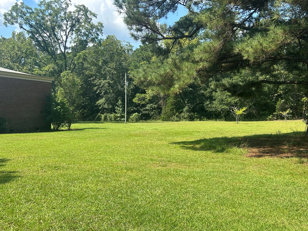 9 School House Road Pittsview, AL 36871 - Photo 9 of 16