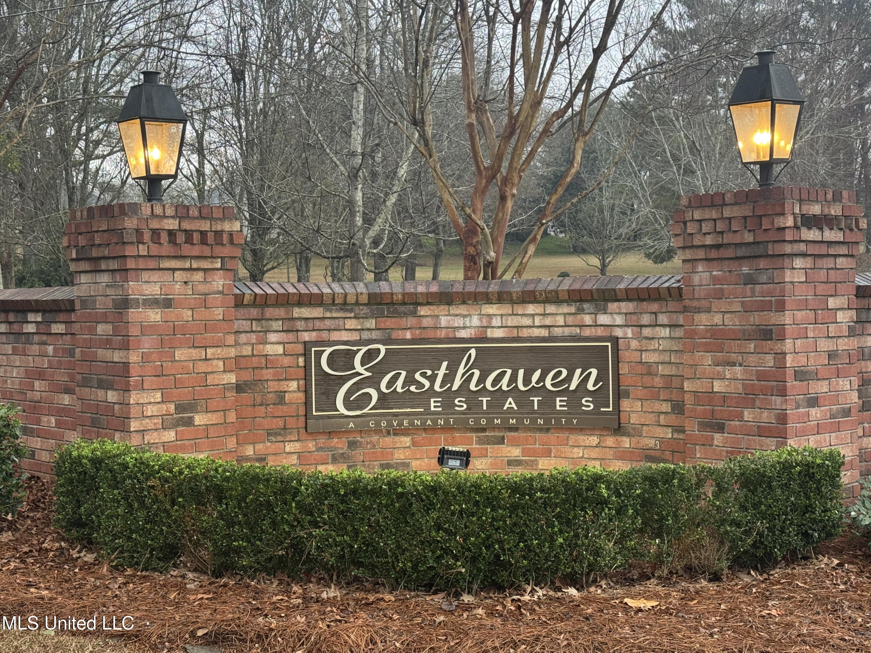 105 Easthaven Drive Brandon, MS 39042 - Photo 39 of 39 IMG_9504