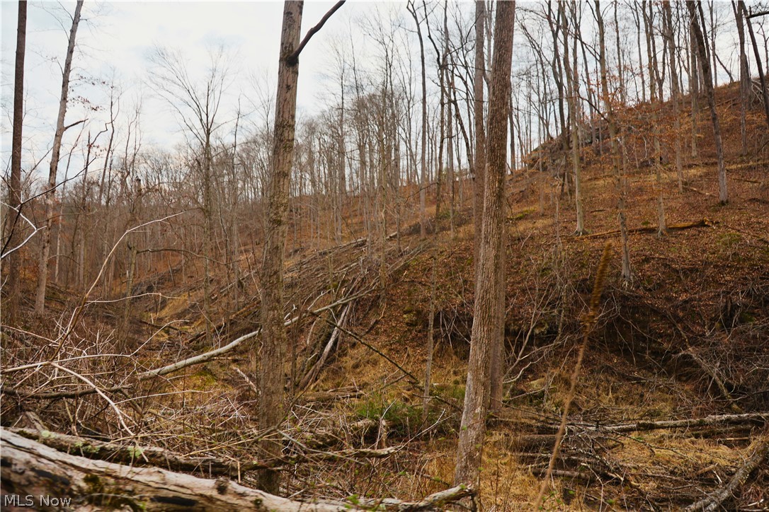 Brimstone Road Coolville, OH 45723 - Photo 23 of 29