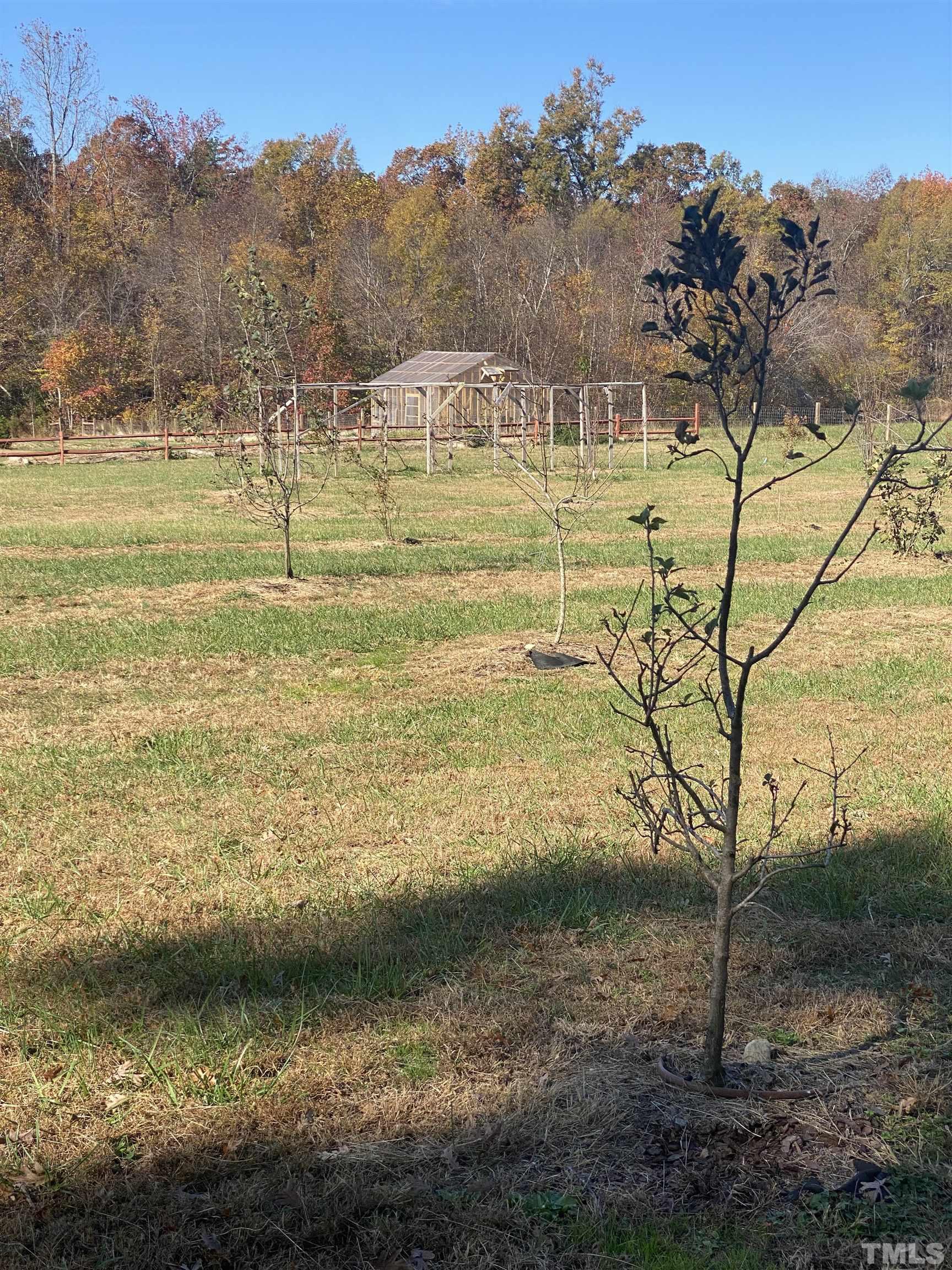 5798 Mt Harmony Church Road Rougemont, NC 27572 - Photo 77 of 86