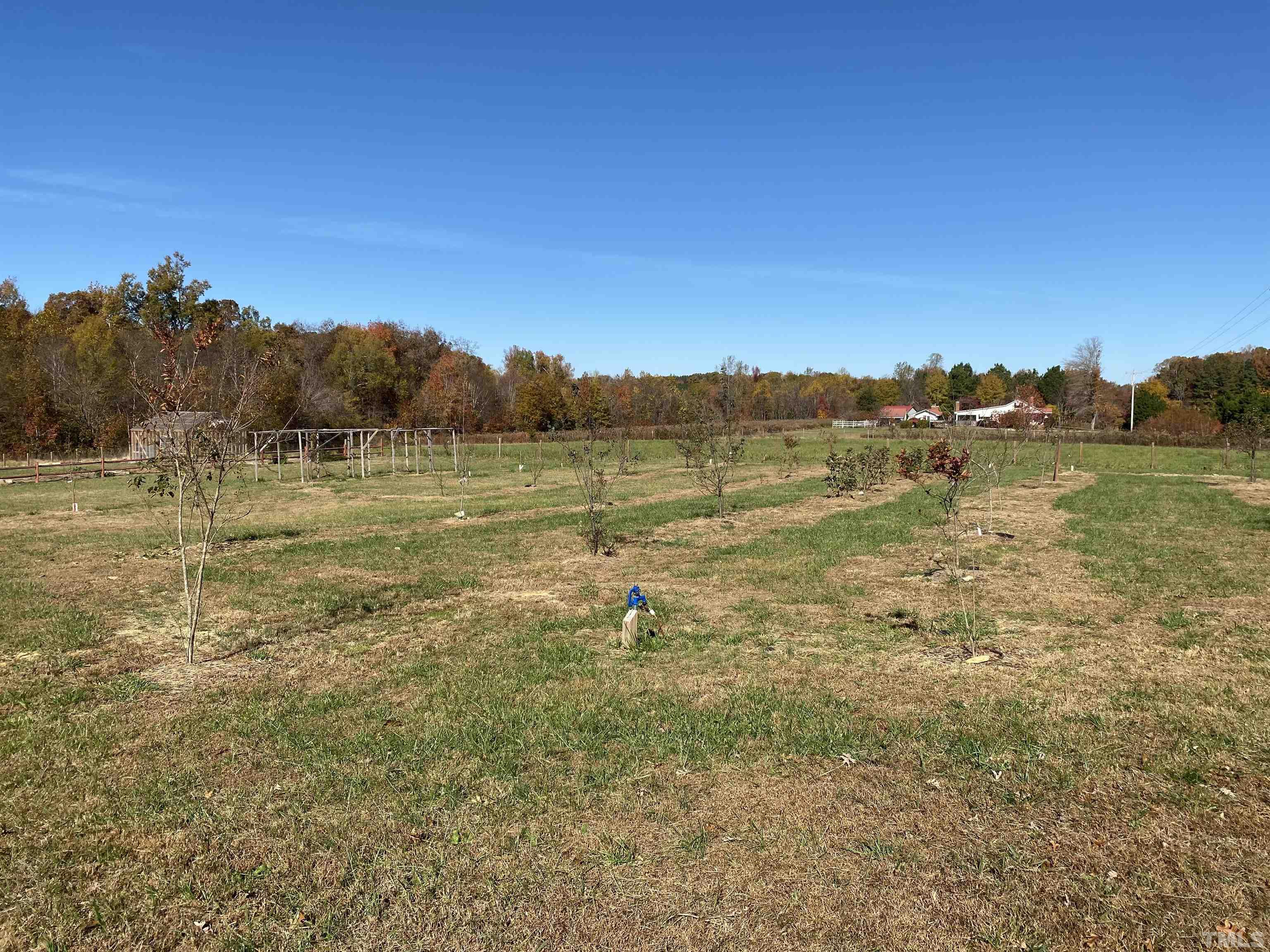 5798 Mt Harmony Church Road Rougemont, NC 27572 - Photo 78 of 86