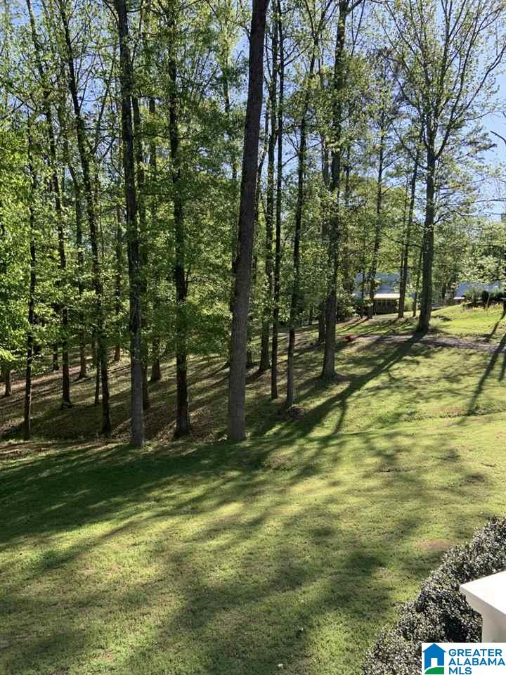 3975 Duck Springs Road Attalla, AL 35954 - Photo 29 of 30