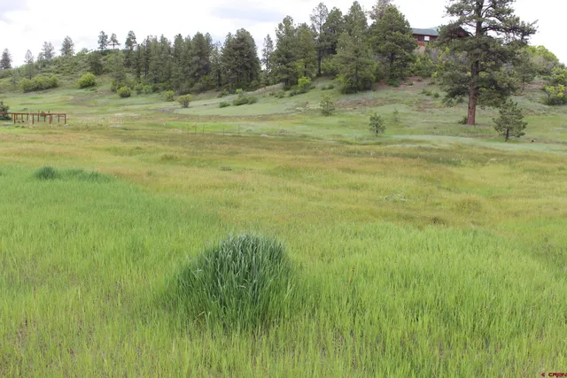 $49,000 | 249 Hills Circle, Pagosa Springs, CO 81147