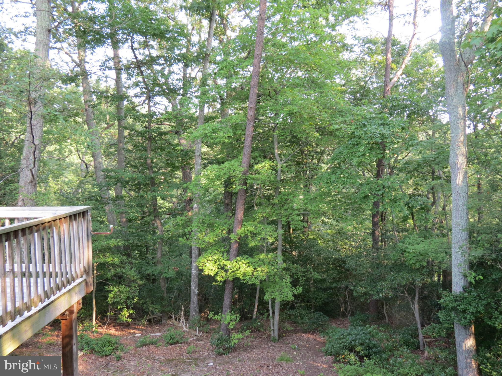295 Red Cloud Road Lusby, MD 20657 - Photo 4 of 23 View from Kitchen