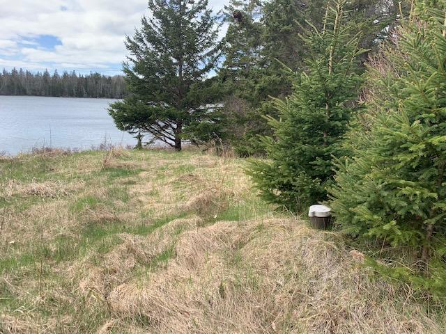 0 Fish Creek Road Deer Isle, ME 04627 - Photo 6 of 21 IMG_6252