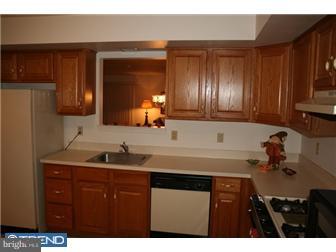 252 Nicole Way Sinking Spring, PA 19608 - Photo 10 of 12