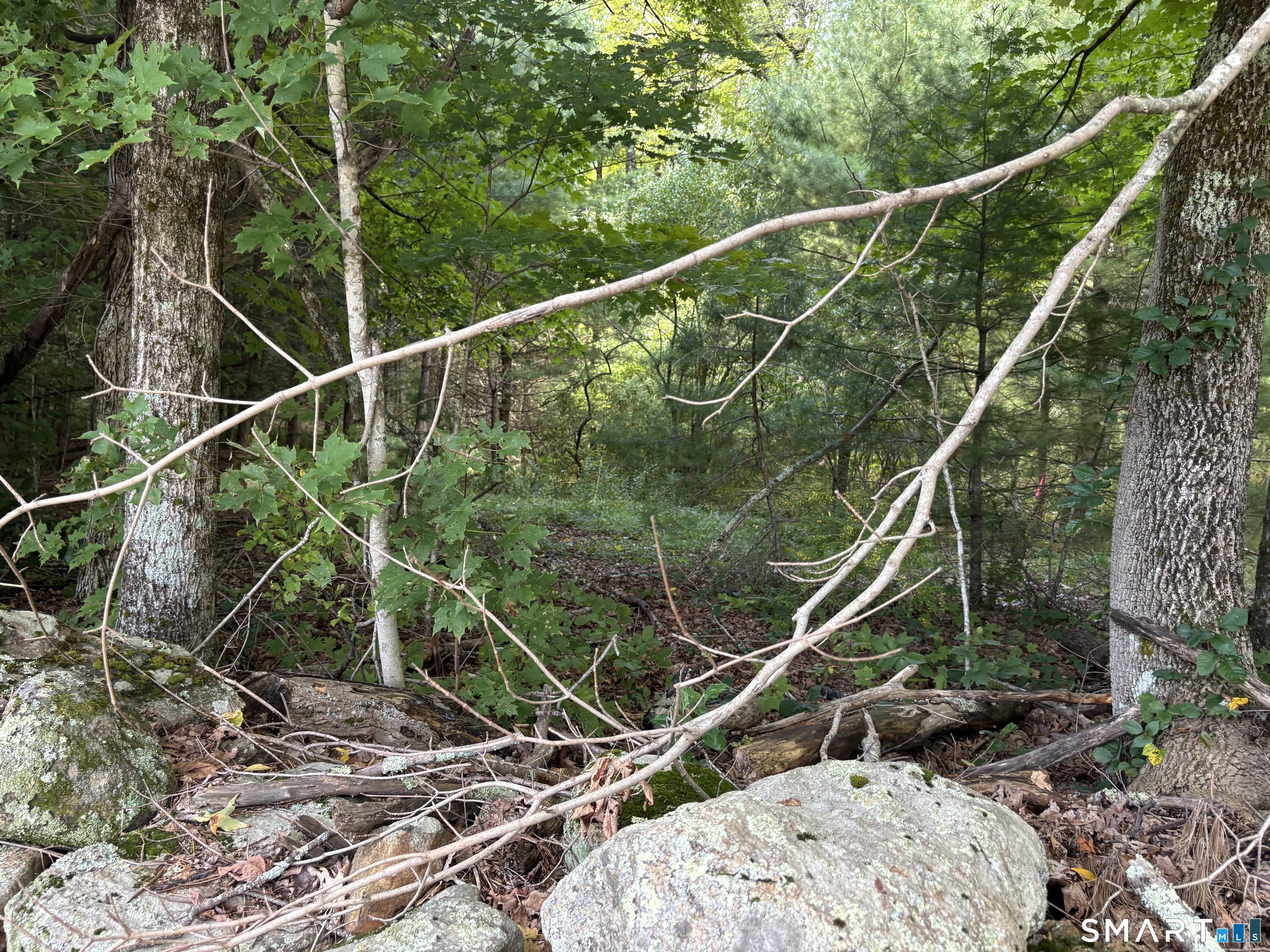 Rindge Rd Union Stafford Springs, CT 06076 - Photo 3 of 9 Gallery Image 3