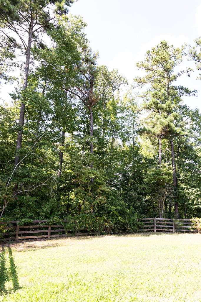 337 Cranmore Place Villa Rica, GA 30180 - Photo 8 of 58