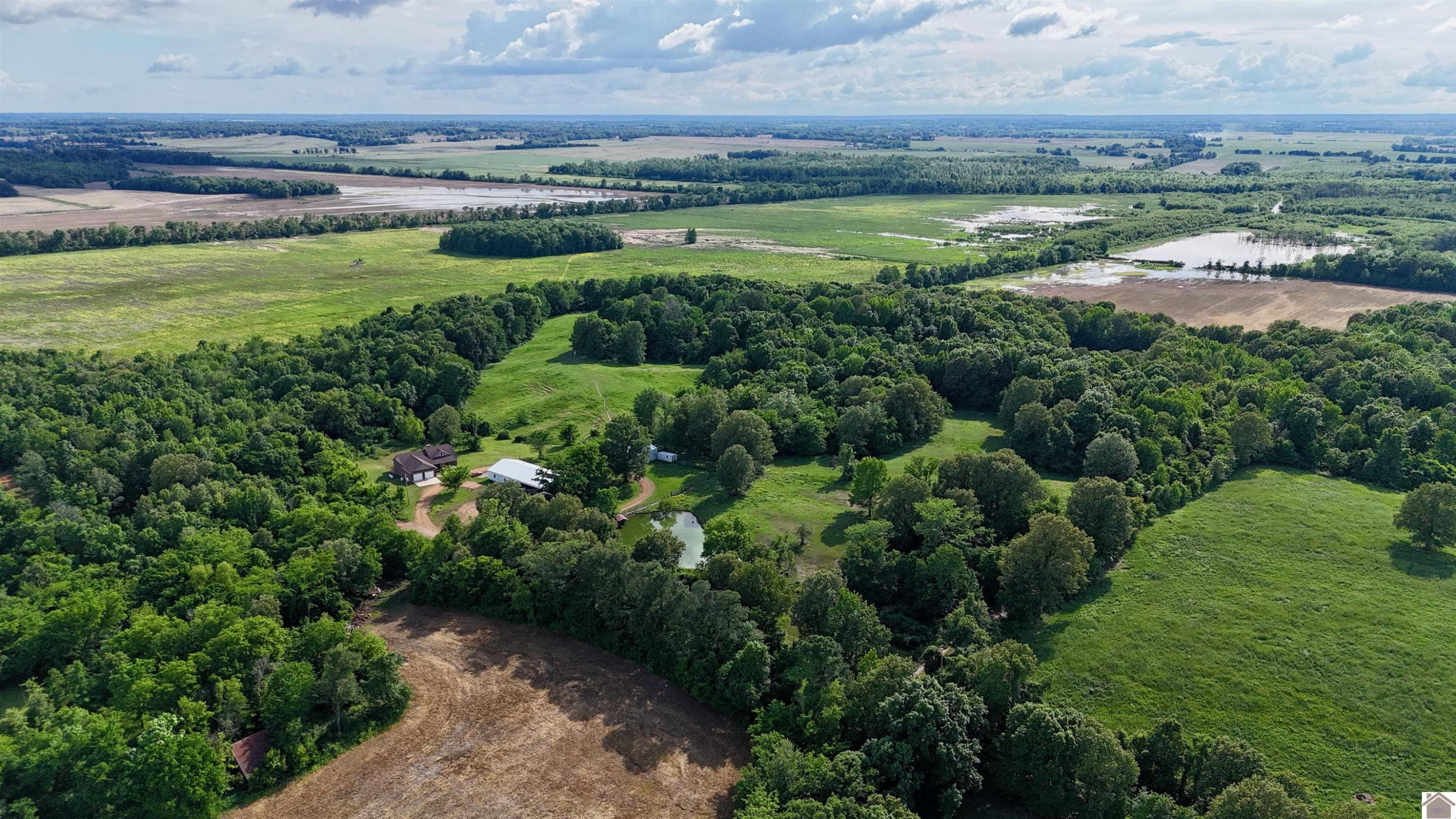 1300 Rocky Road Fancy Farm, KY 42039 - Photo 10 of 41 Photo 10