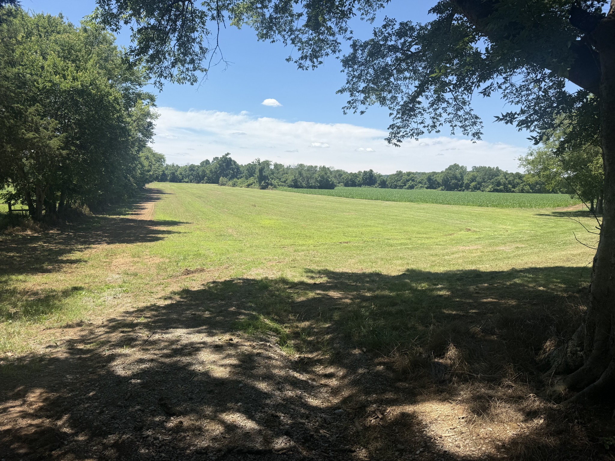 0 Burford Road Lebanon, TN 37087 - Photo 6 of 9