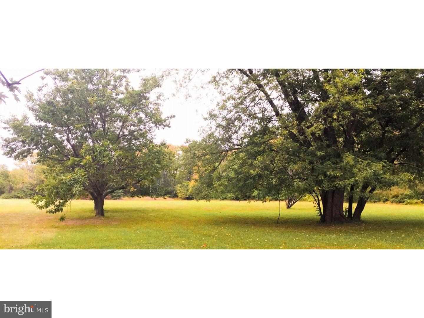 1924 Mill Road Perkasie, PA 18944 - Photo 20 of 23 Back Yard
