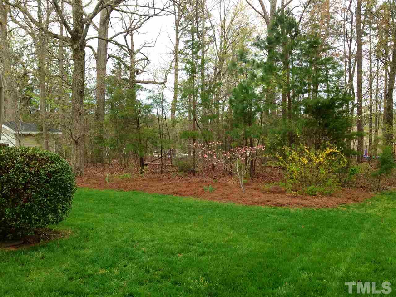 1505 Autumn Ridge Drive Durham, NC 27712 - Photo 24 of 25 a view of yard with green space