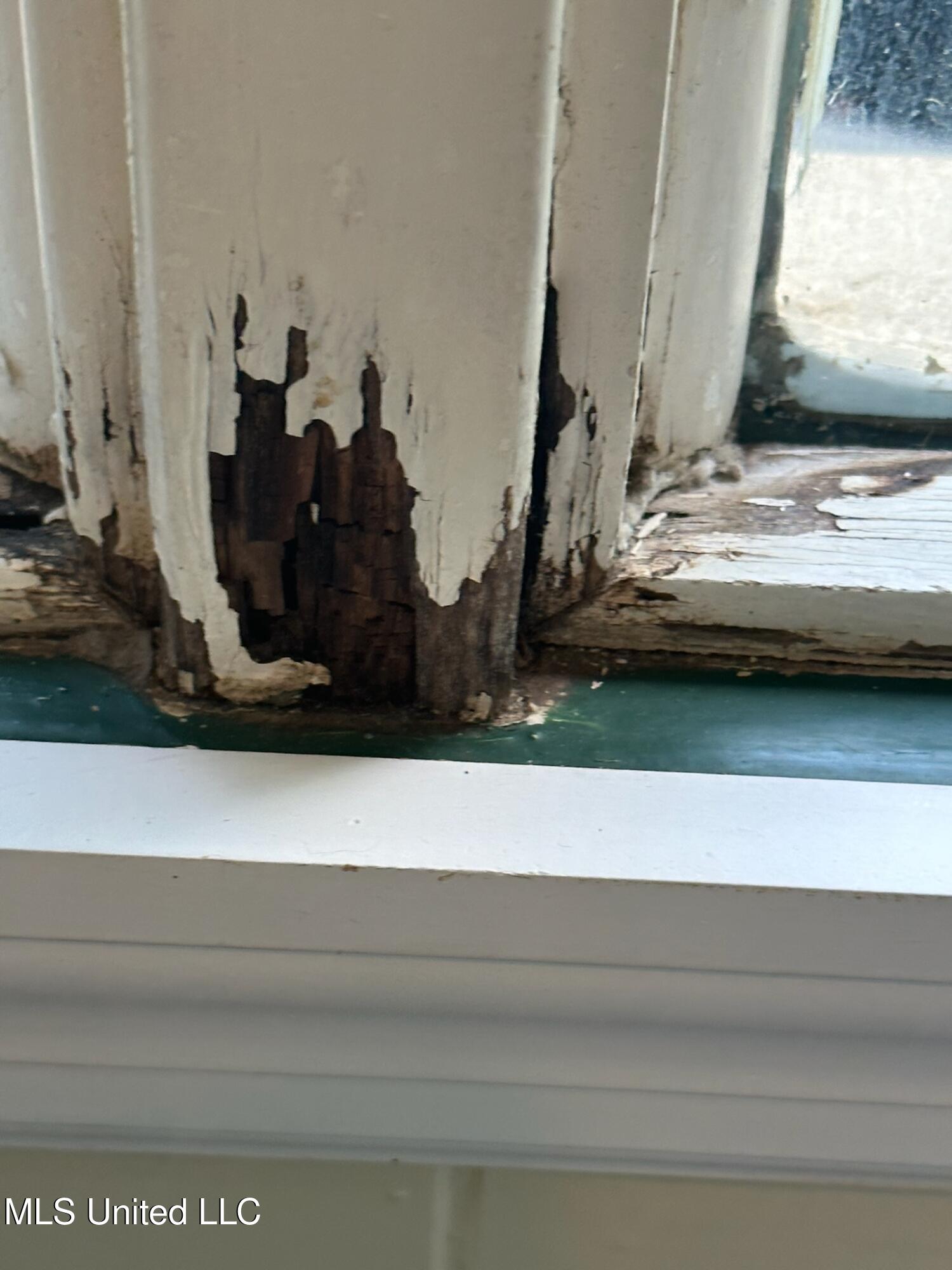 3564 Cowan Place Jackson, MS 39216 - Photo 126 of 227 IMG_7221