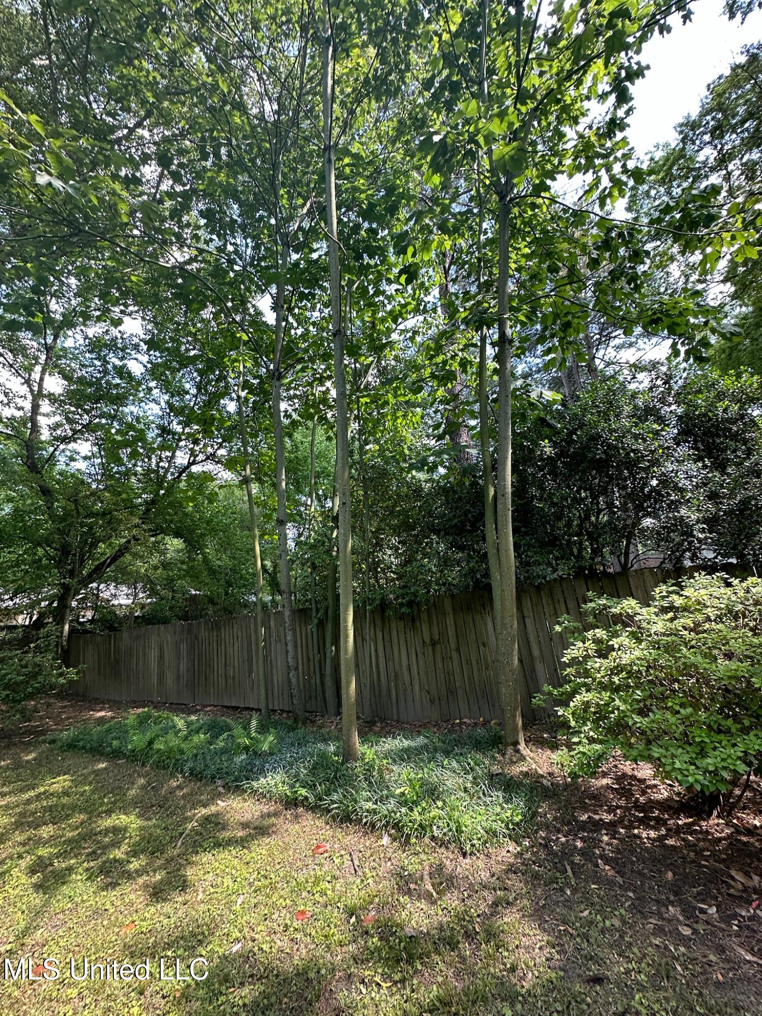 3564 Cowan Place Jackson, MS 39216 - Photo 192 of 227 IMG_7289