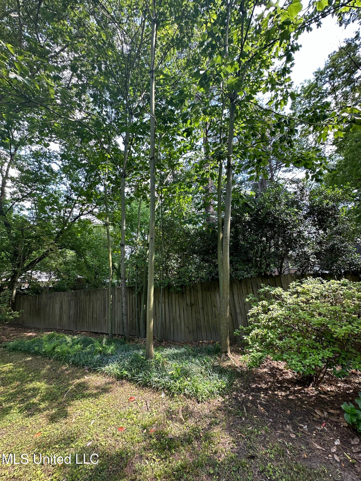 3564 Cowan Place Jackson, MS 39216 - Photo 193 of 227 IMG_7290