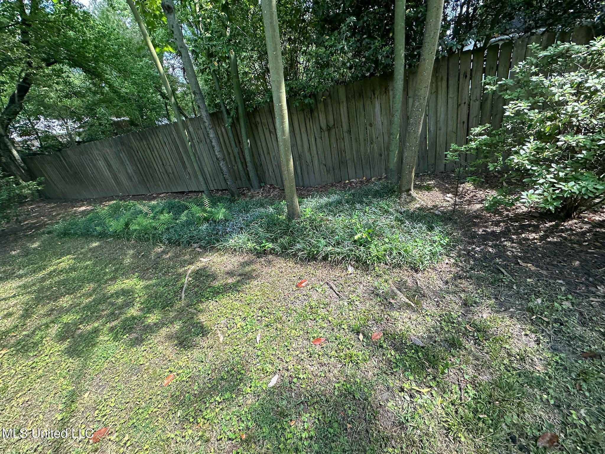 3564 Cowan Place Jackson, MS 39216 - Photo 194 of 227 IMG_7291