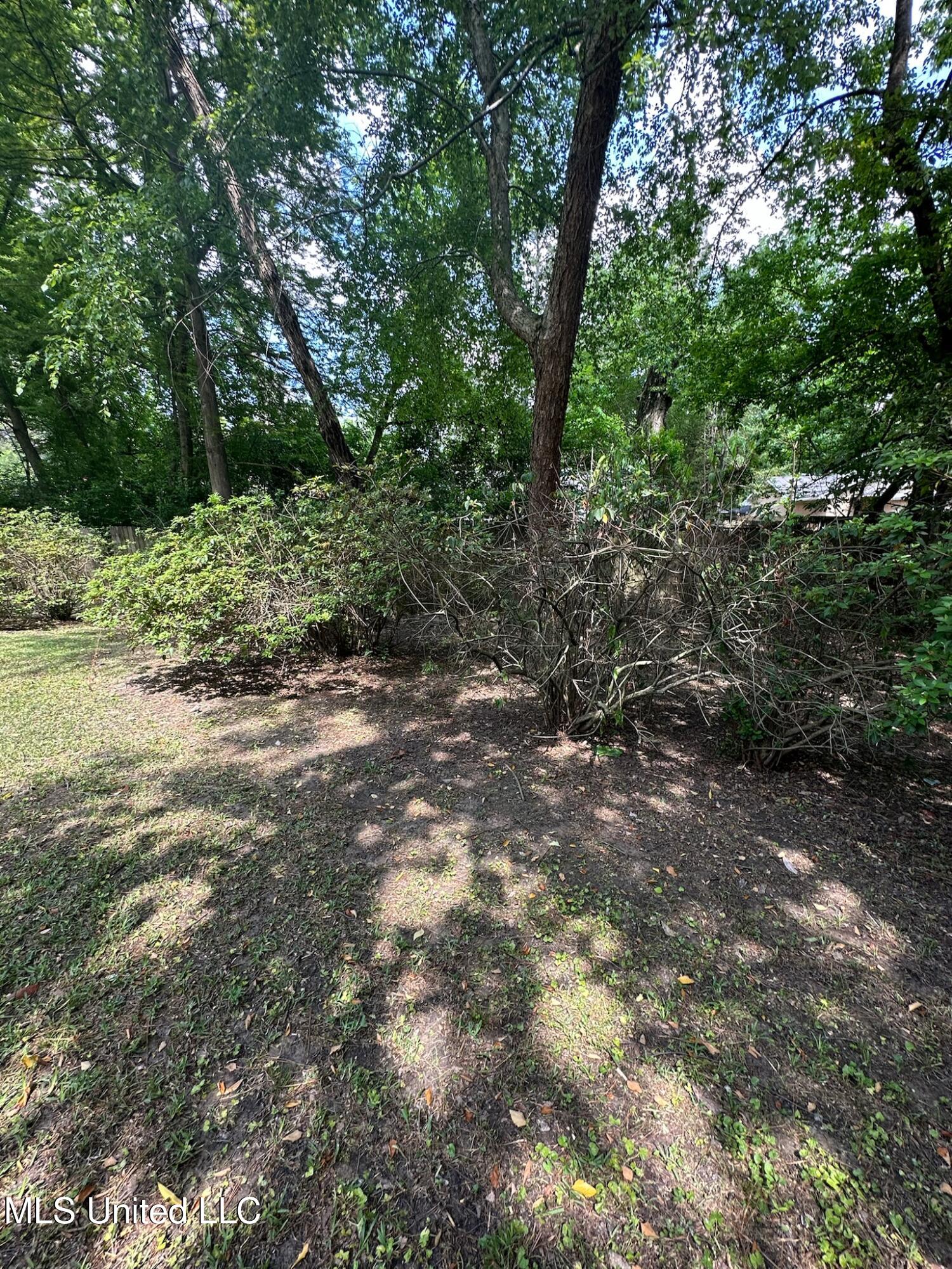 3564 Cowan Place Jackson, MS 39216 - Photo 196 of 227 IMG_7293