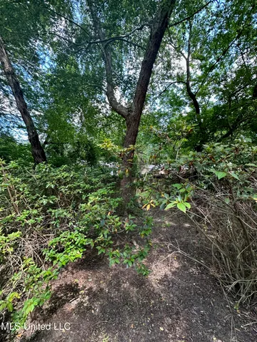 $2,900 | 3564 Cowan Place, Jackson, MS 39216