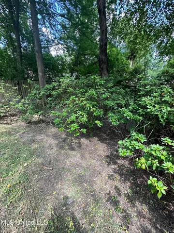 $2,900 | 3564 Cowan Place, Jackson, MS 39216