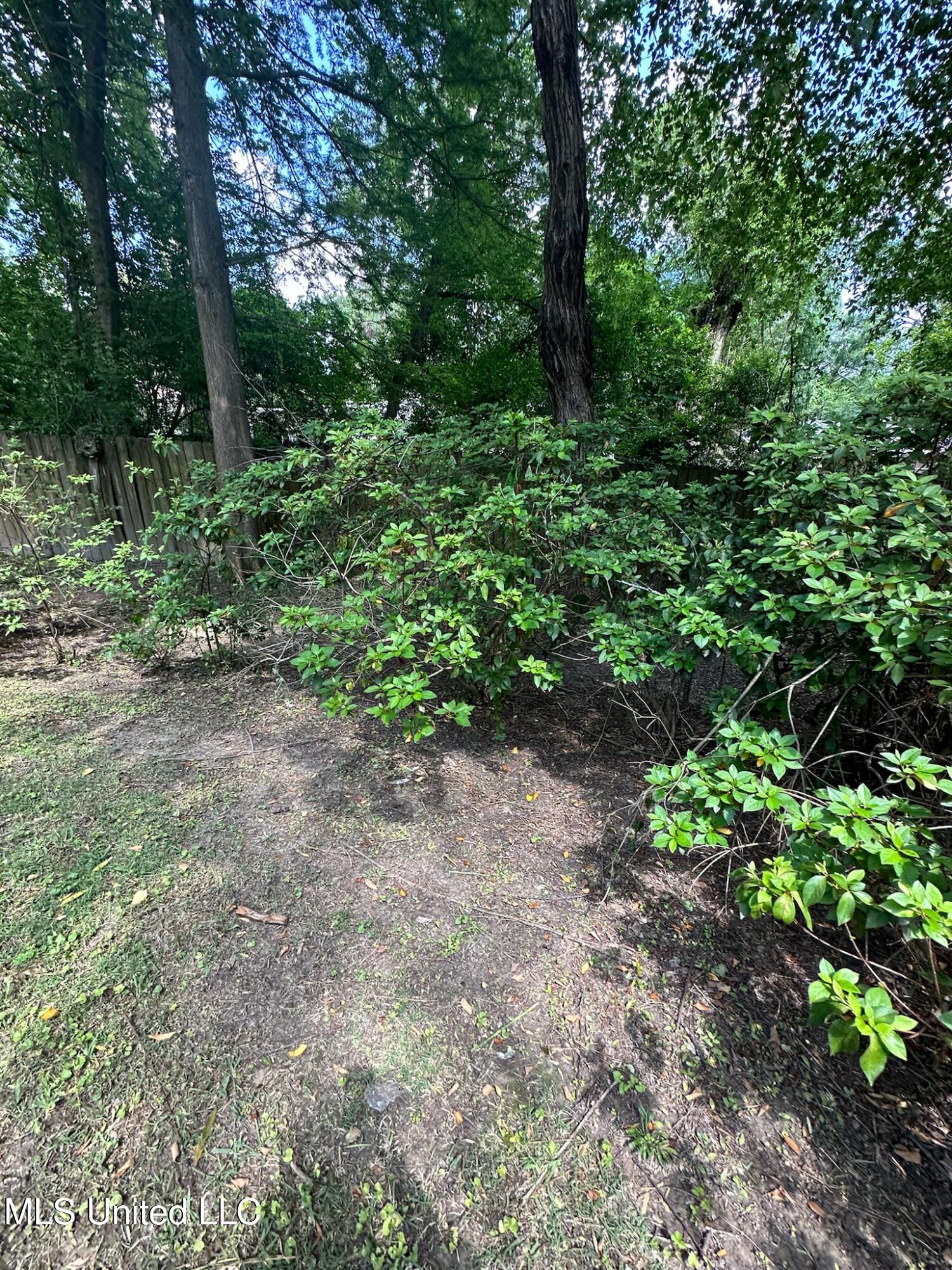 3564 Cowan Place Jackson, MS 39216 - Photo 198 of 227 IMG_7295