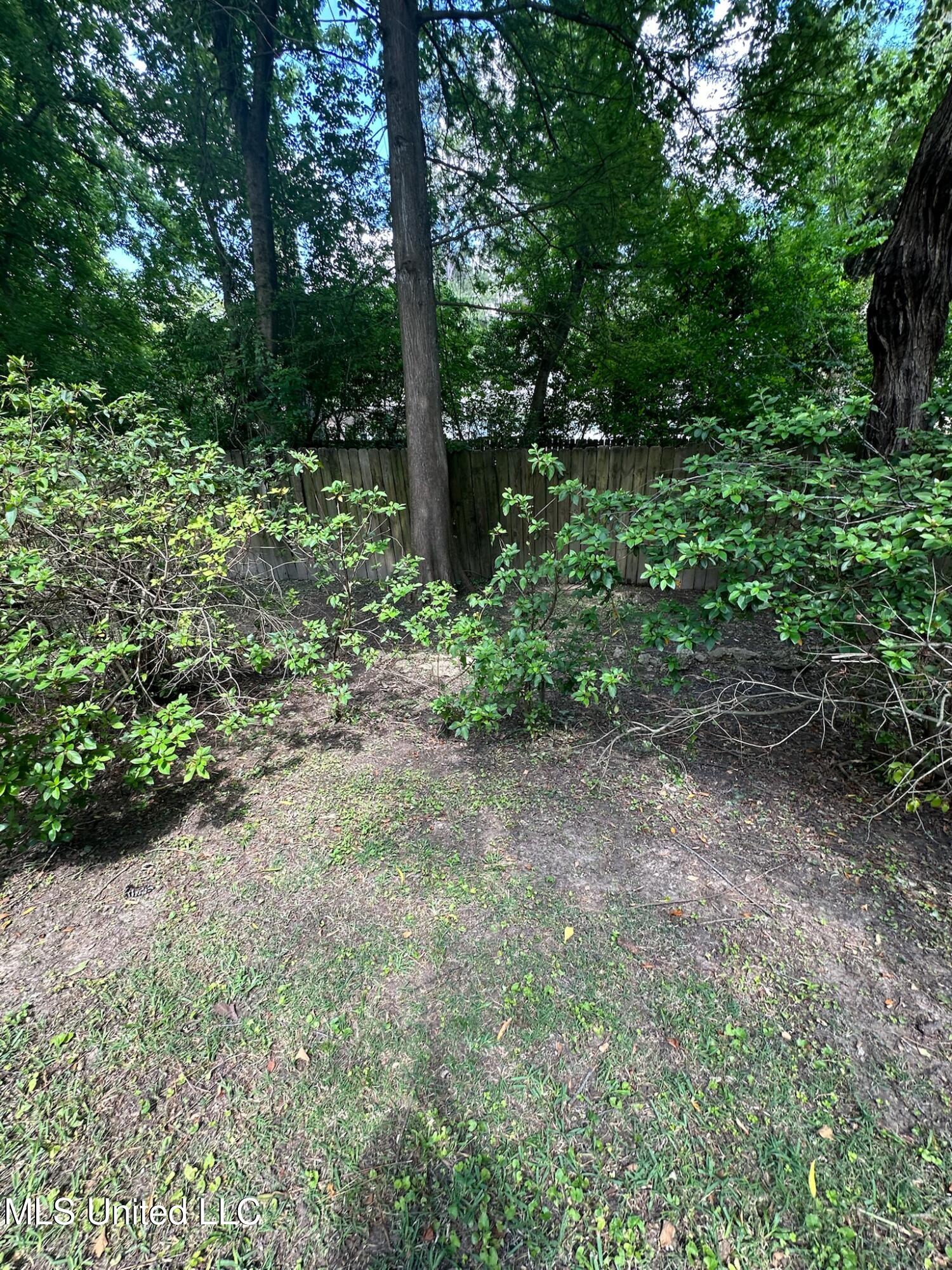 3564 Cowan Place Jackson, MS 39216 - Photo 199 of 227 IMG_7296