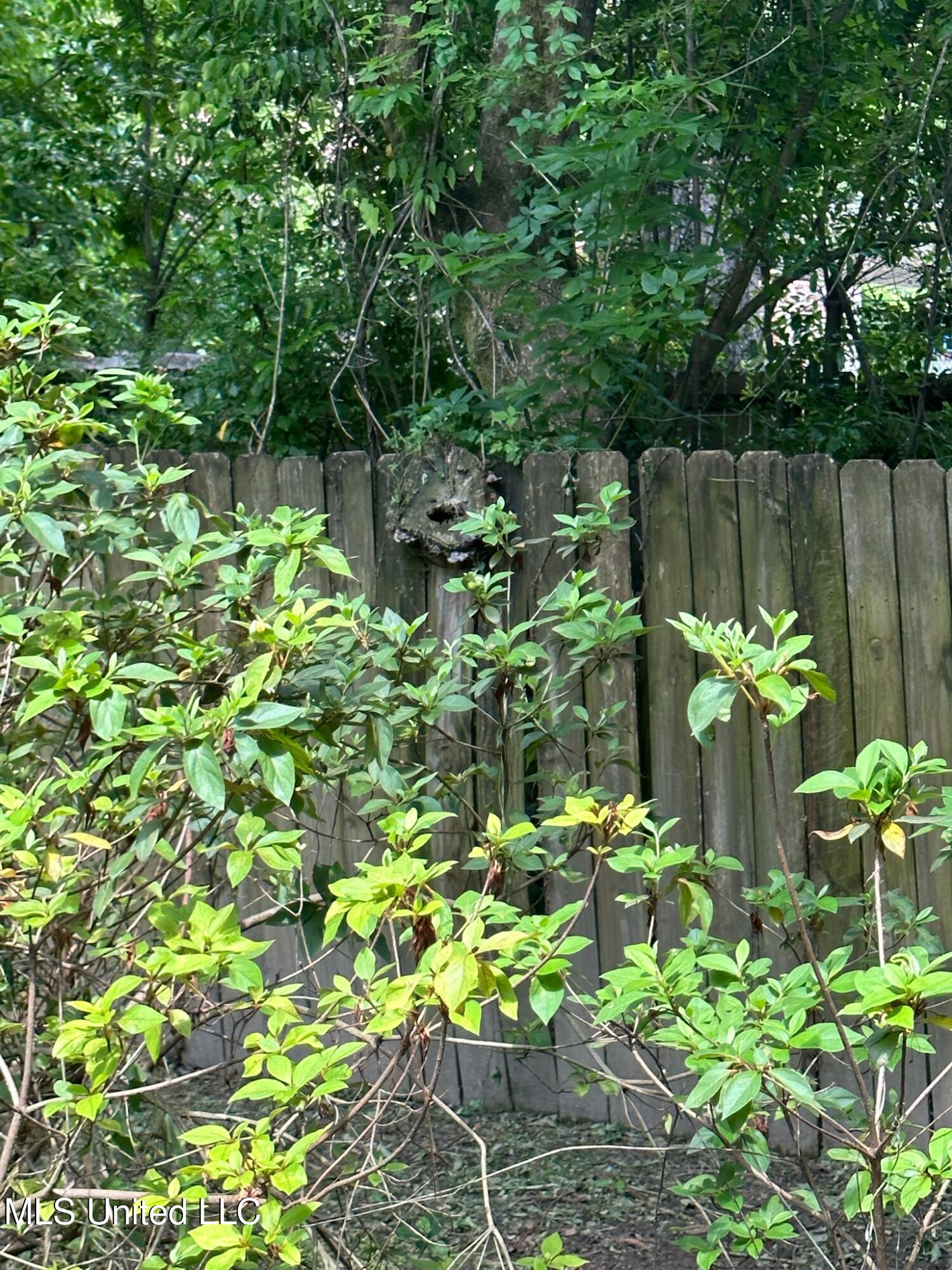 3564 Cowan Place Jackson, MS 39216 - Photo 200 of 227 IMG_7297