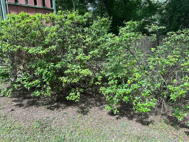 $2,900 | 3564 Cowan Place, Jackson, MS 39216