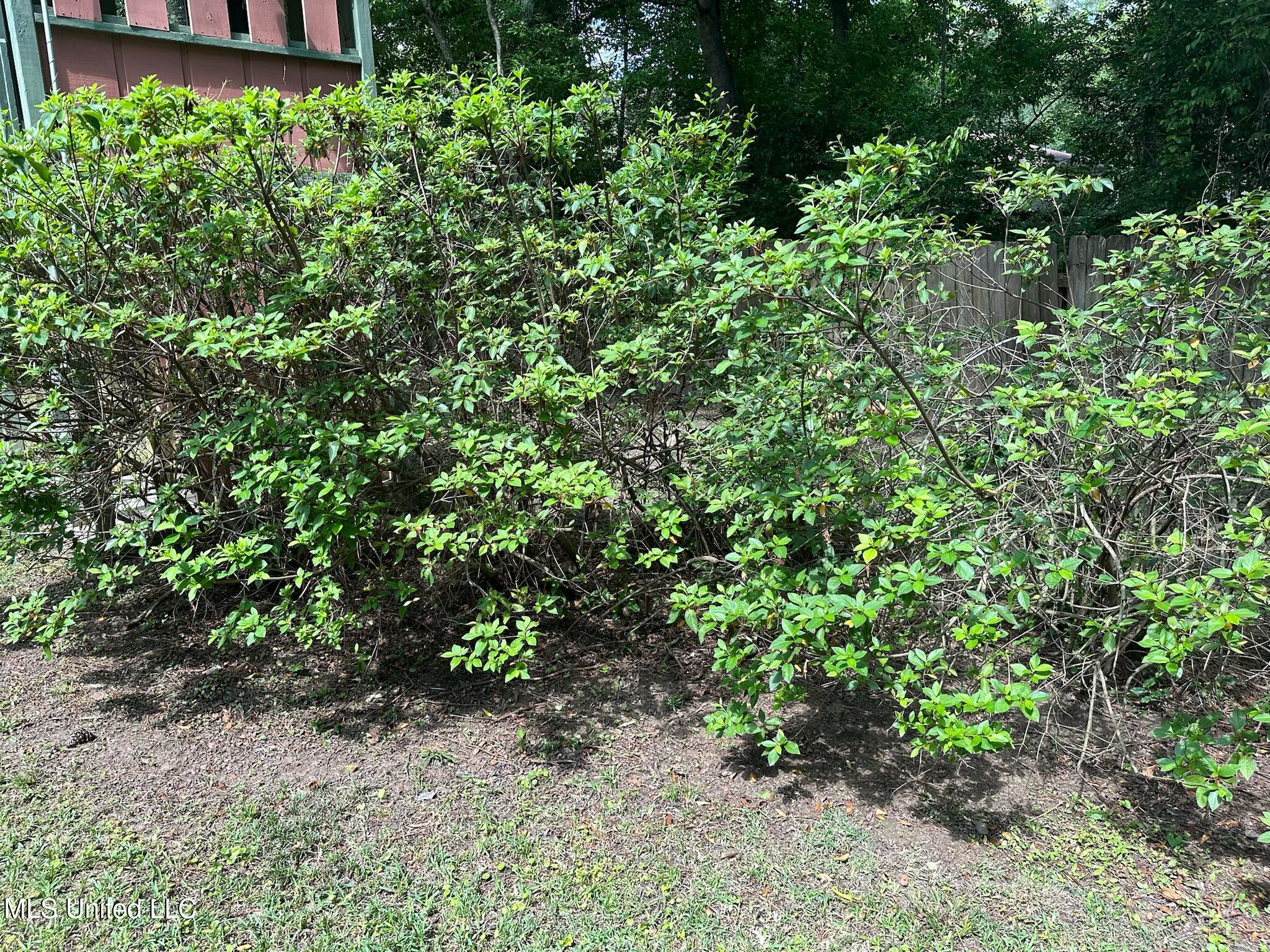 3564 Cowan Place Jackson, MS 39216 - Photo 201 of 227 IMG_7298