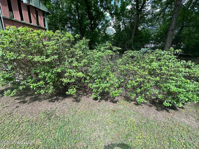 $2,900 | 3564 Cowan Place, Jackson, MS 39216