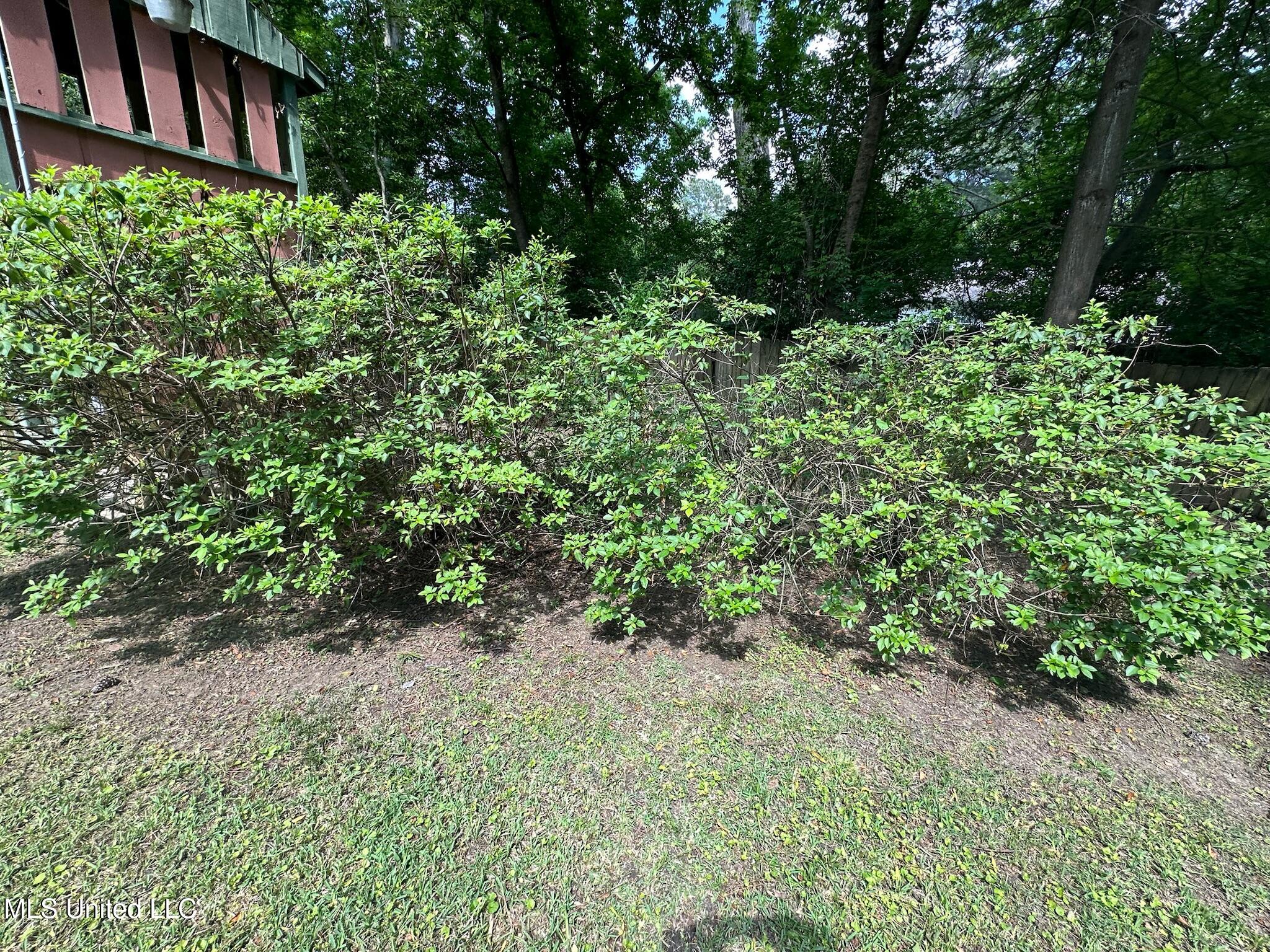 3564 Cowan Place Jackson, MS 39216 - Photo 202 of 227 IMG_7299