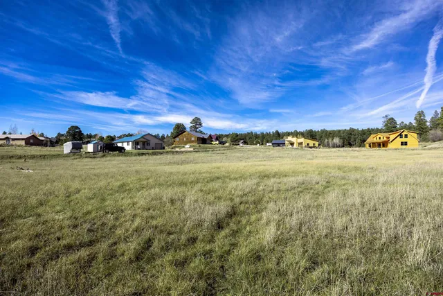 a view of a field with an ocean