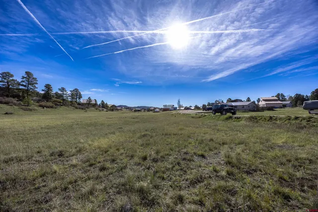 a view of a big room with lots of green space