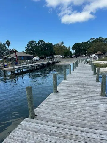 a view of a tree with a yard