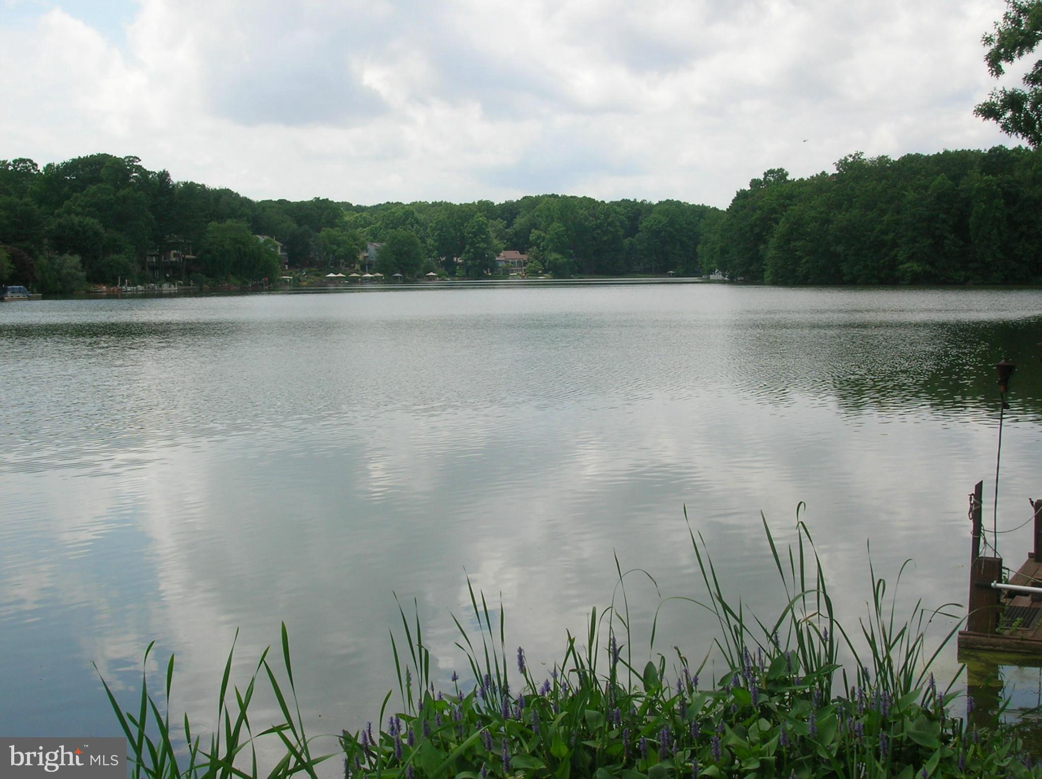 2043 Headlands Circle Reston, VA 20191 - Photo 14 of 14 Lake View