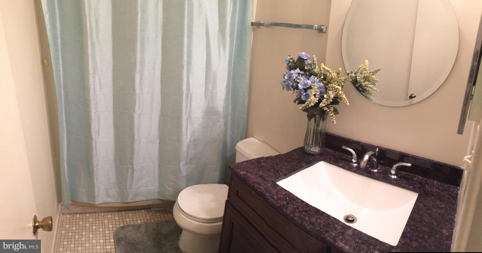 2043 Headlands Circle Reston, VA 20191 - Photo 10 of 14 Bath