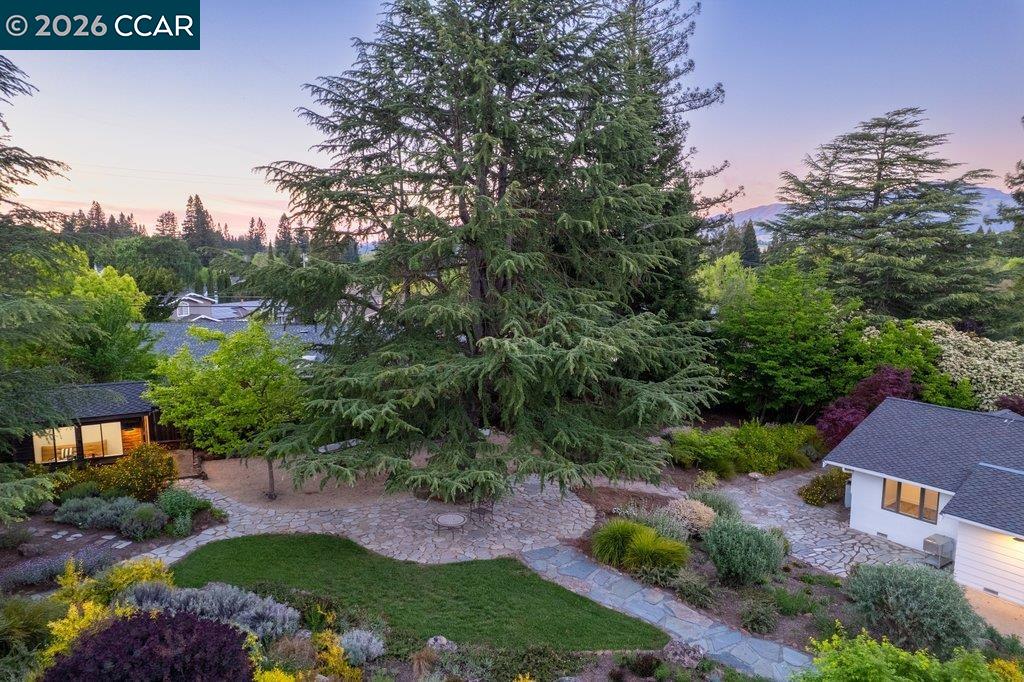 26 Rio Del Court Danville, CA 94526 - Photo 60 of 60