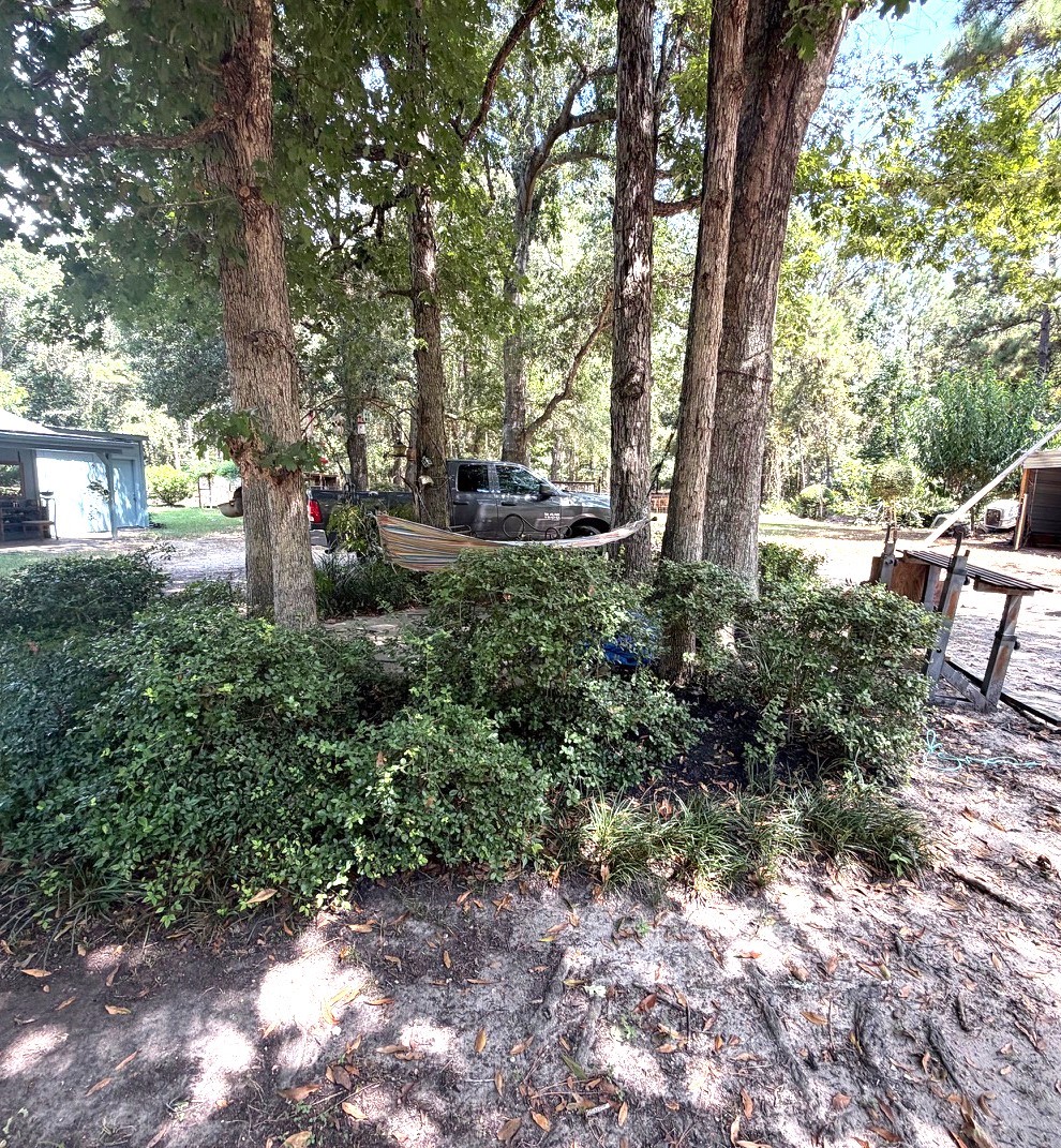 3080 Lee Turner Road Cleveland, TX 77328 - Photo 31 of 48 Towering shade trees and lush greenery provide a serene outdoor setting with plenty of country charm.