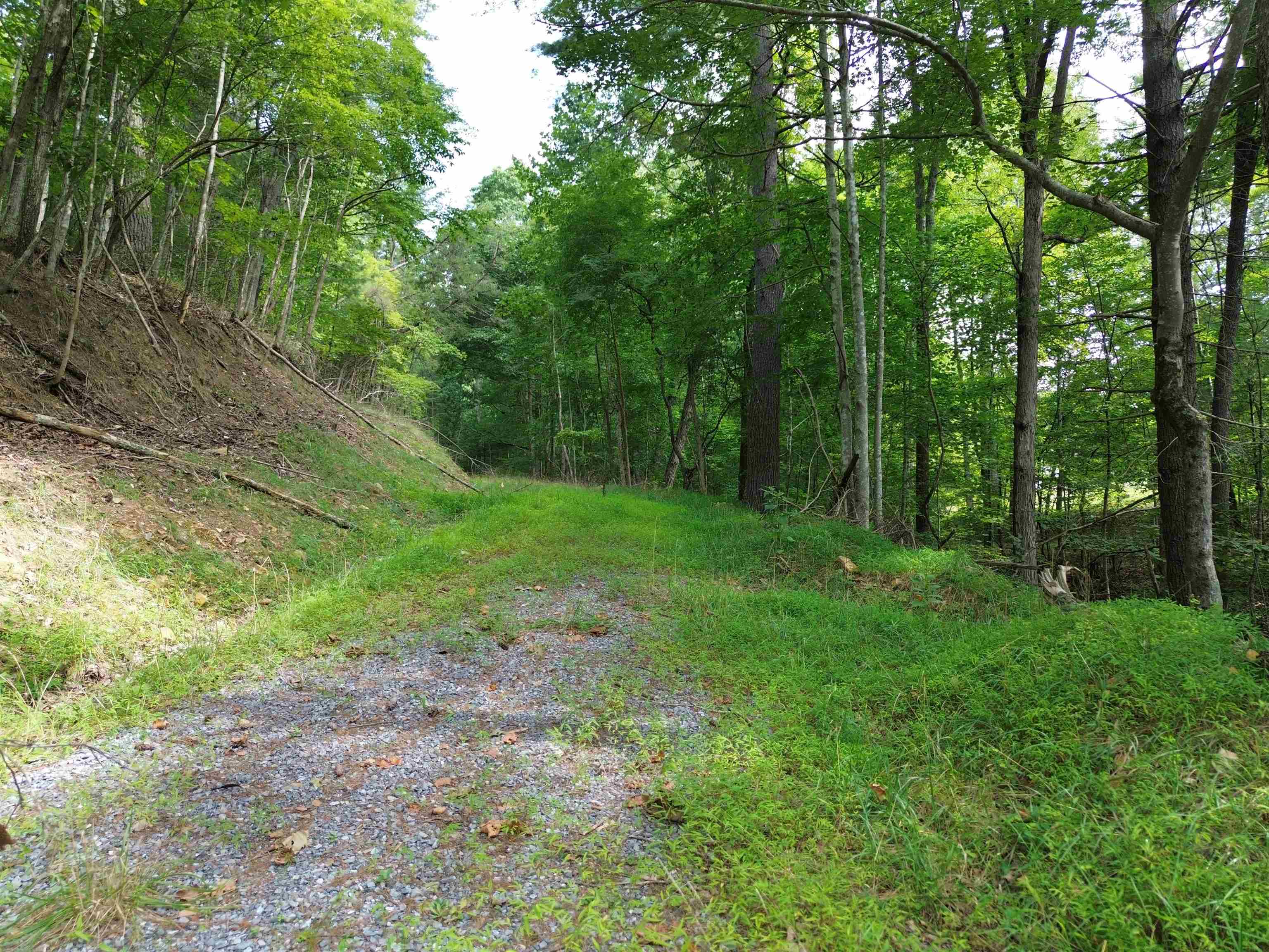 Tbd Norris Run Road Blacksburg, VA 24060 - Photo 5 of 8 Gallery Image 5