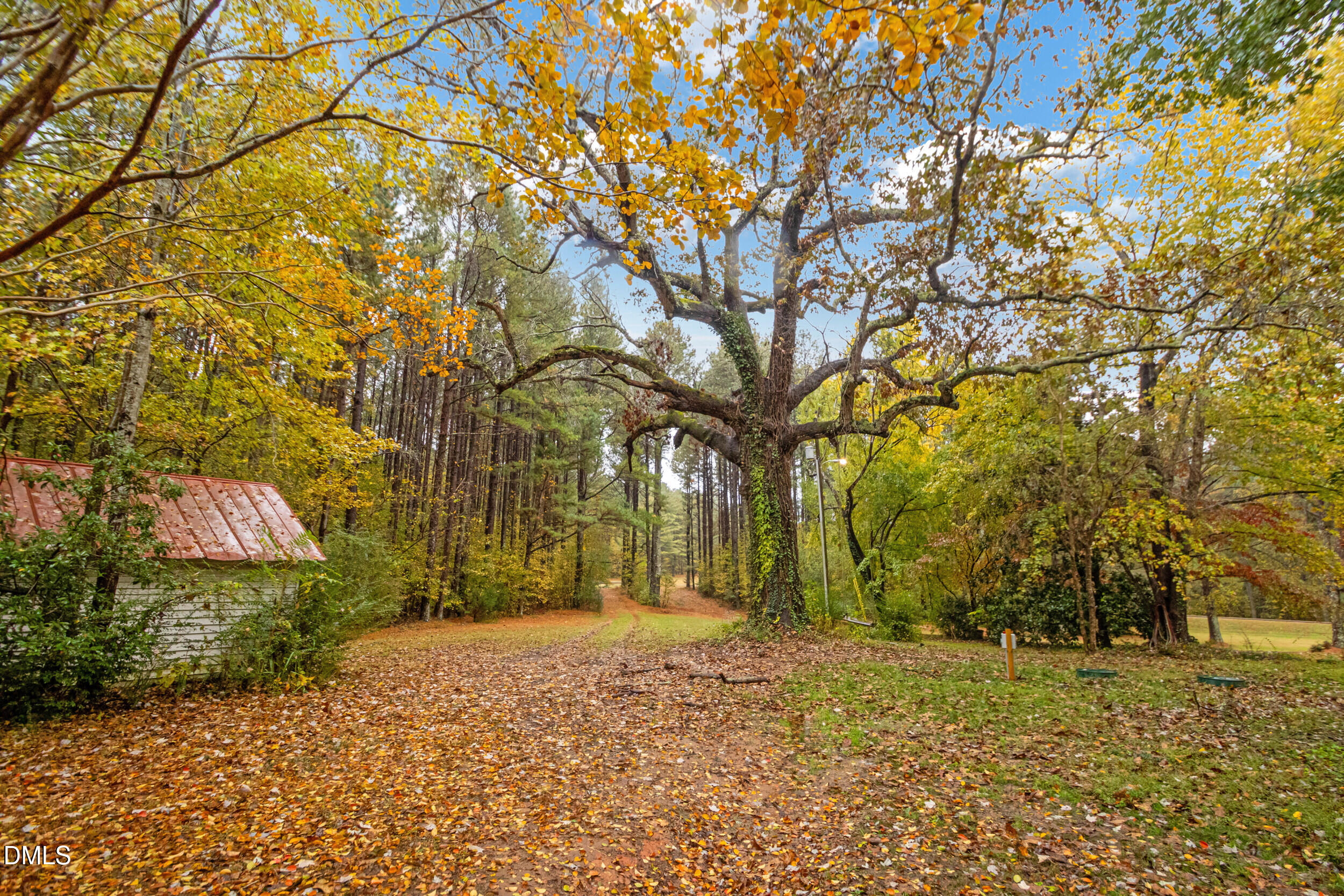 1734 Rocky Ford Road Henderson, NC 27537 - Photo 34 of 44 a view of road and trees