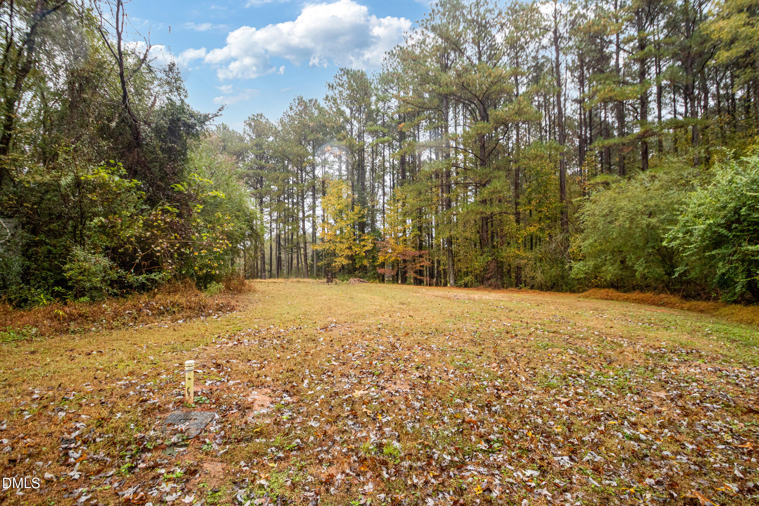 1734 Rocky Ford Road Henderson, NC 27537 - Photo 37 of 44 a view of large trees with lots of trees