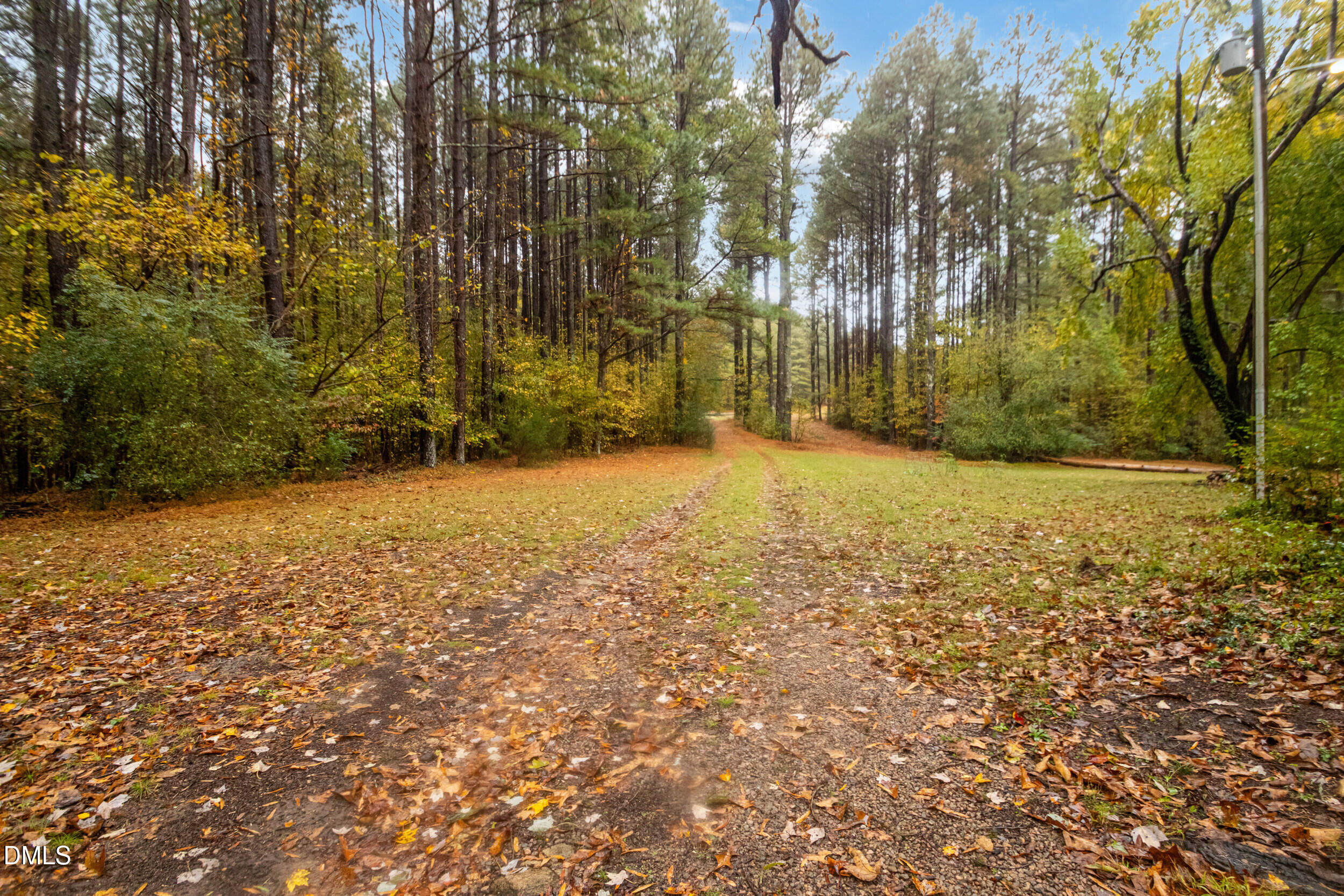 1734 Rocky Ford Road Henderson, NC 27537 - Photo 38 of 44 a view of yard with trees