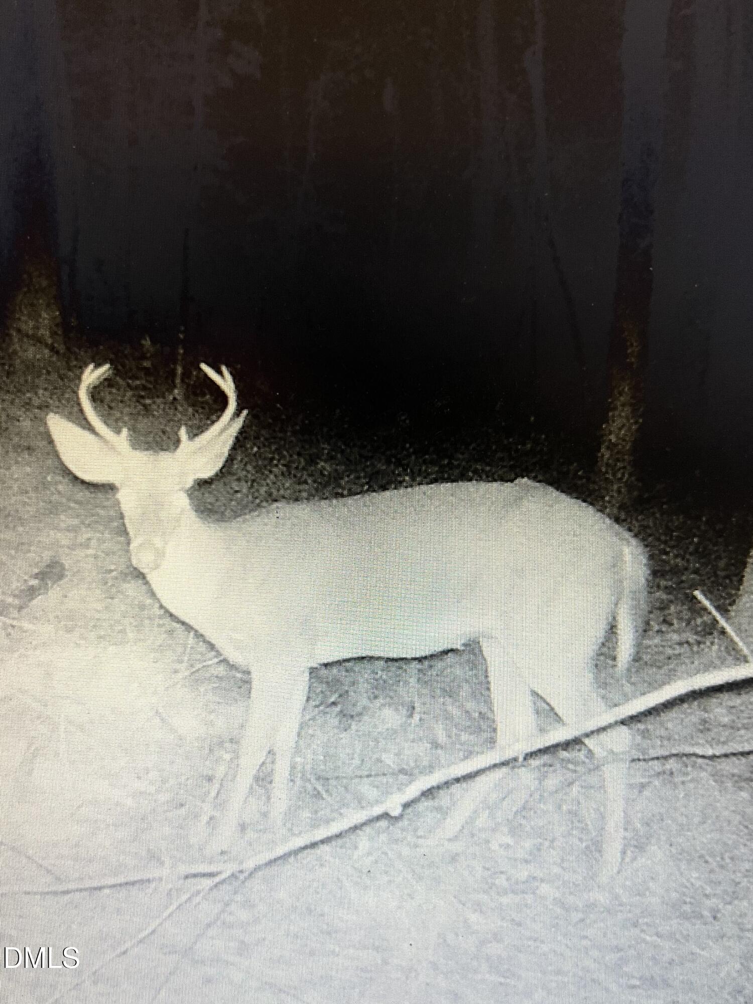 1734 Rocky Ford Road Henderson, NC 27537 - Photo 42 of 44 a close view of tap